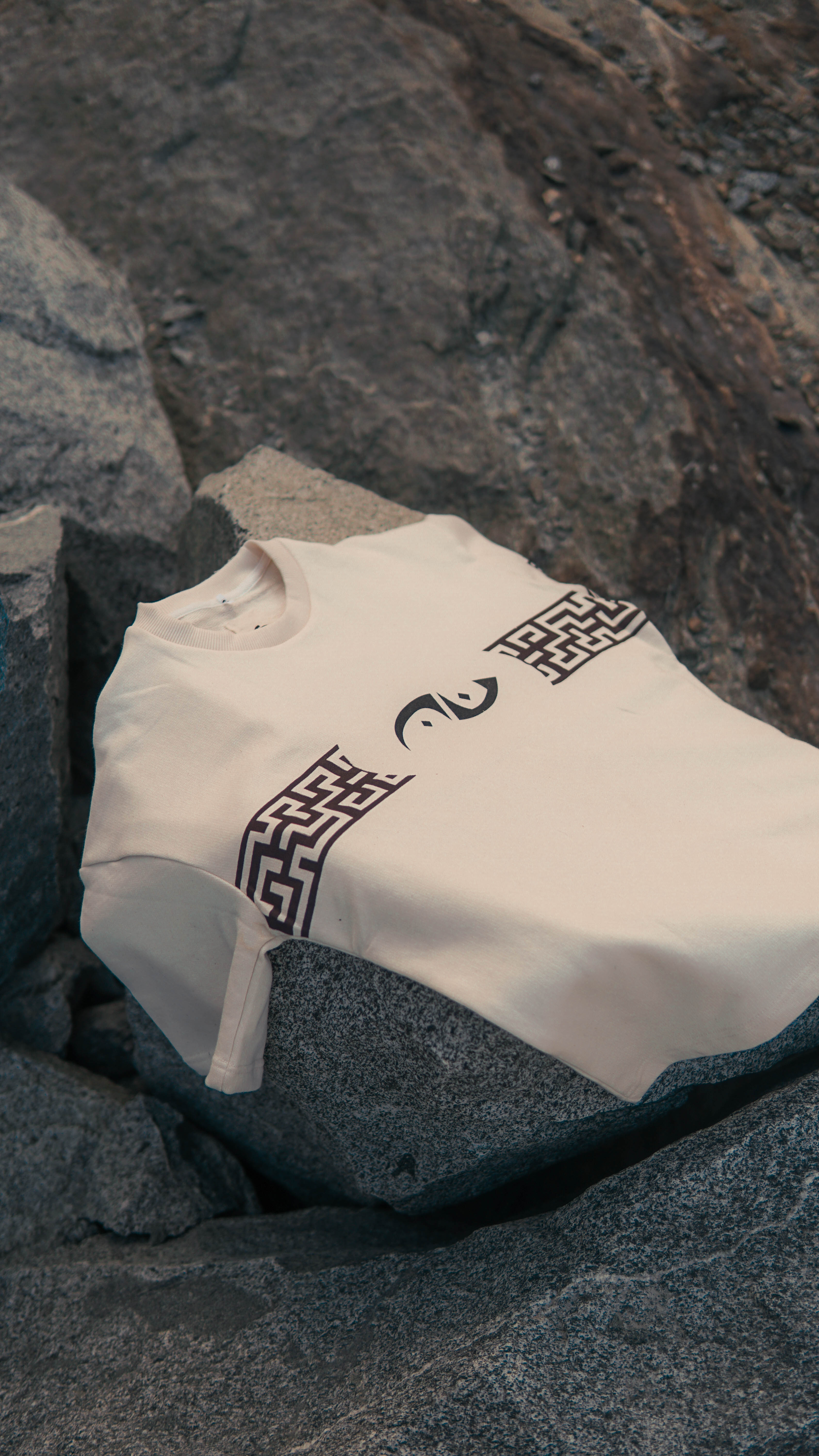 Article 0.2 ASHPOO Tee