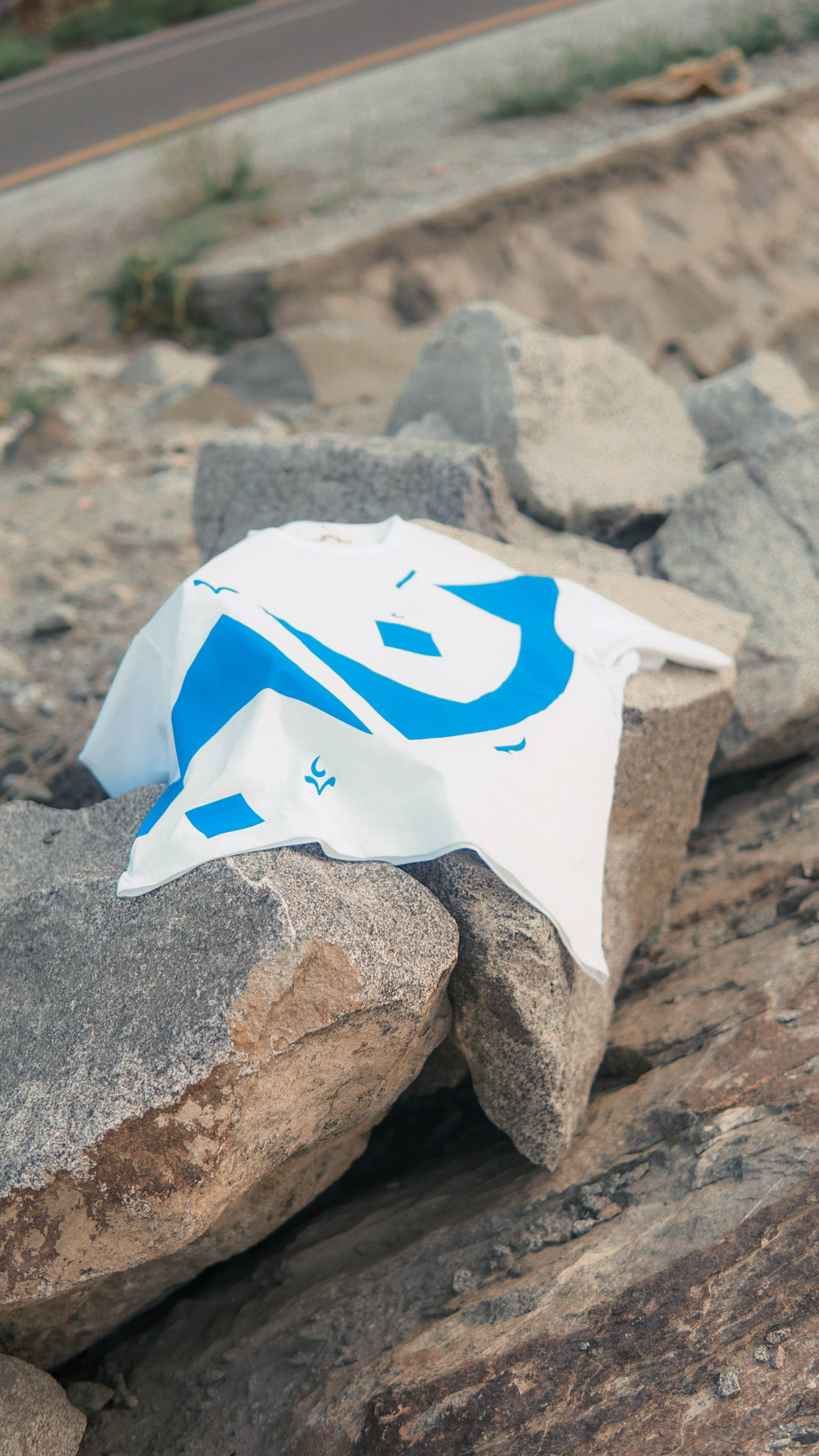 Article 0.2 FN (art.) Tee